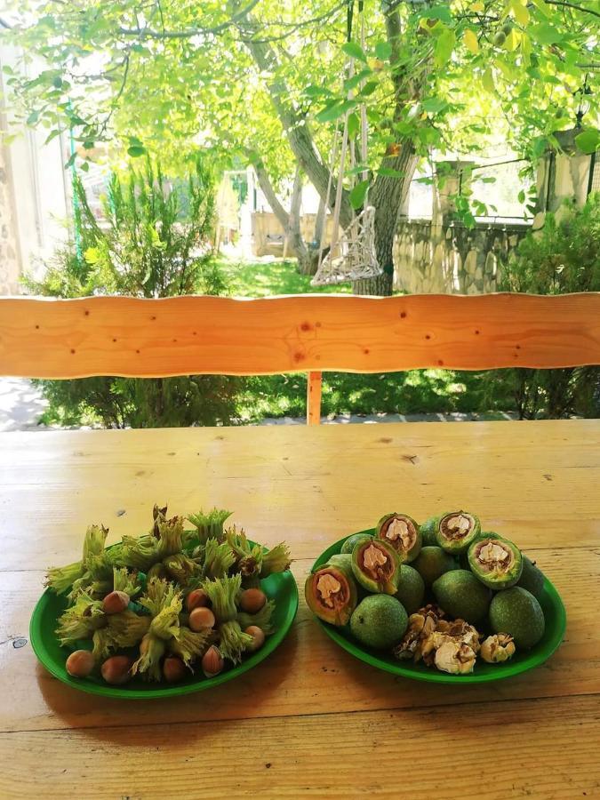 Guest House Nataly Yeghegnadzor Ngoại thất bức ảnh